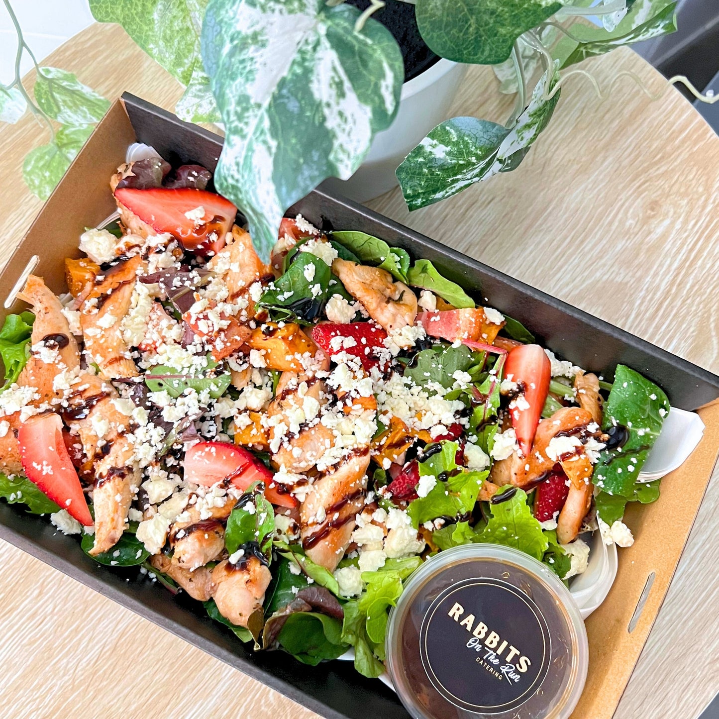 Gourmet Salads